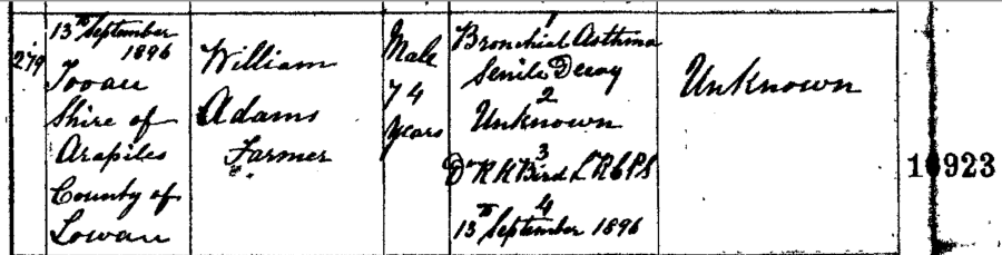 1896-09-13_-_death_certificate_for_william_adams_-_part_2.png