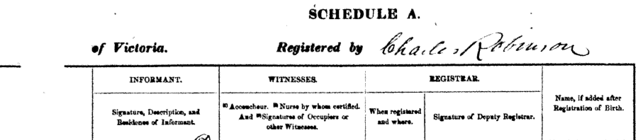 1866_-_birth_certificate_for_alexander_mcrobert_-_part_3.png